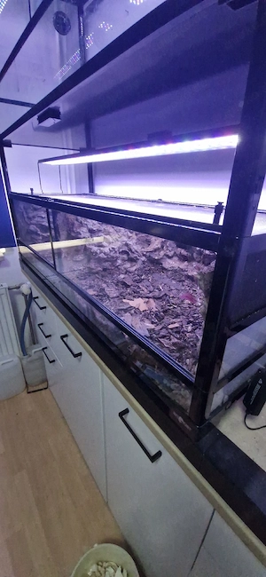 2 Terrarien 