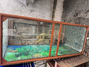  Fische Aquarium für Fische