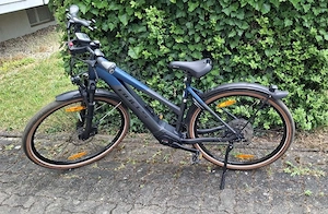 BULLS E-Cross 29 Zoll 50cm 625Wh