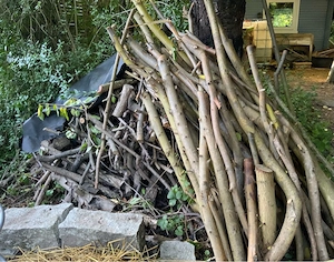 brennholz zu verschenken in 74906 Bad Rappenau
