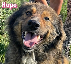 Hope, 05 24 - Die, die immer lacht
