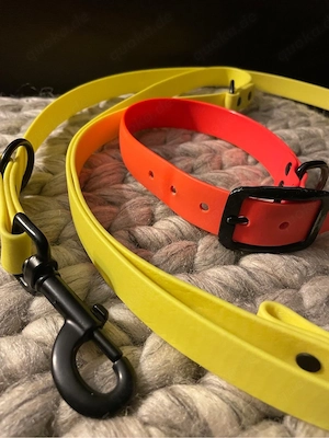 Hundehalsband-Set mit Leine (Biothan)