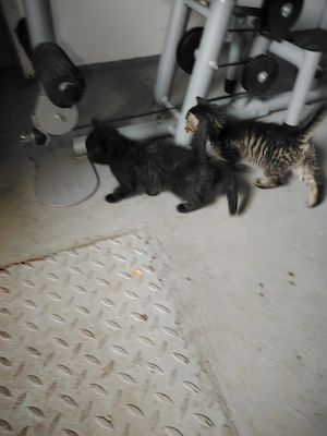Ioana Moldovan