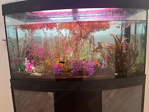 Aquarium mit unterschrank