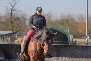 Reitbeteiligung gesucht PsR 2x Woche