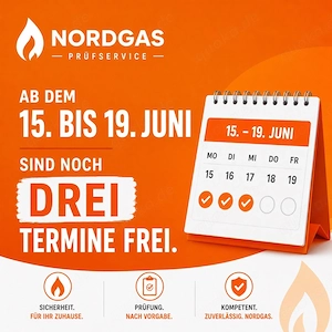 Mobile Gasprüfung G607 und Kleinreparaturen 