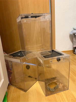 3 kleine terrarien 