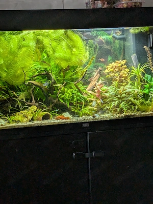 Juwel Rio Aquarium 125Liter Komplett mit Unterschrank und Zubehör 