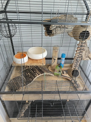 Umfangreiches Zubehör für Nager bzw. Erstausstattung für Degus 