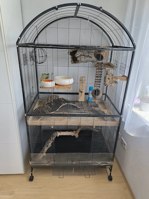 Große Voliere   Käfig Darwin für Nager oder Vögel inkl. Zubehör!