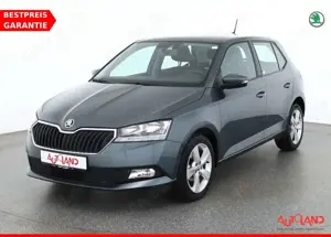 Skoda Fabia 1.0 MPI Cool Plus Klima Sitzheizung DAB