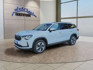 Skoda Kodiaq 2,0TSI DSG 4x4 AHK/4*J.Gar/Navi/el.Klappe/Kamera