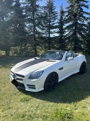 Mercedes-Benz SLK 200 SLK 200 BlueEfficiency (172.448)