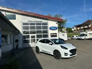 Ford Puma Puma ST-Line Automatik Bild 2