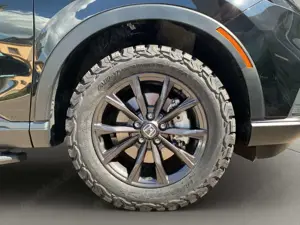 Honda CR-V e:HEV Advance AWD All Terain Ber/Trittbrett