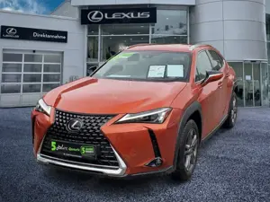 Lexus UX 250h UX 250 h Style Edition zuverlässiger Crossover