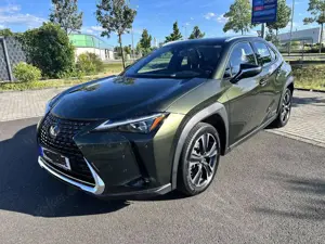 Lexus UX 250h UX 250h Luxury Line