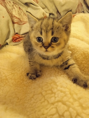  Hallo, will mich denn keiner?