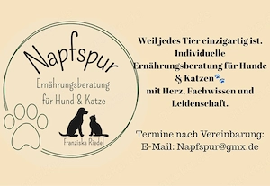 Ernährungsberatung für Hunde & Katzen
