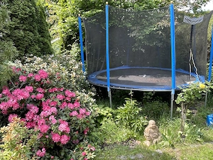 Großes Trampolin zu verschenken 
