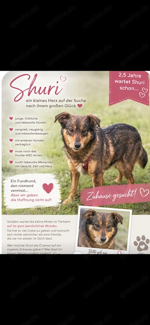 Shuri, sucht eine liebevolle Familie