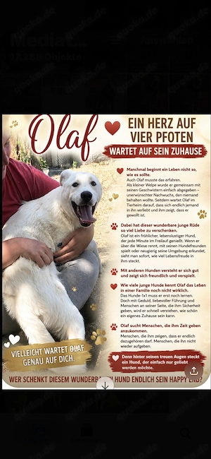 Olaf, menschenbezogen und verspielt (mit Videos)
