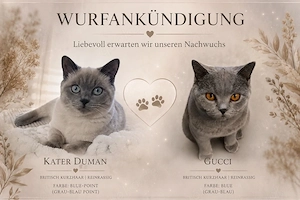 Wurfankündigung