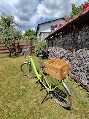 Cube Citybike Elly Ride Bild 3