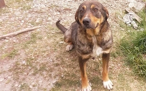 Liebenswerte Yuuki sucht Familienanschluss