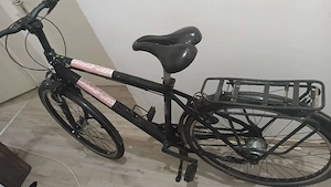 Pegasus 28 zoll Herrenrad 