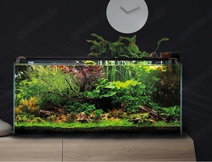 Suche Aquarien zu verschenken