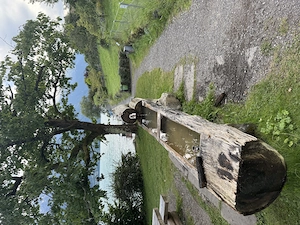 Die Selbstbewusste Reife Dame gesucht