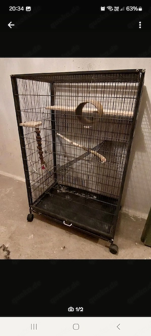 Voliere Vögel  Nager