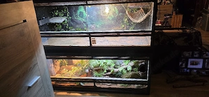 2 Terrarien Terrarium