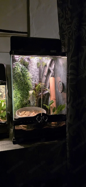 2 Exo Terra Terrarium 