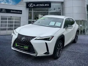 Lexus UX 250h UX 250 h Style Edition guter Crossover