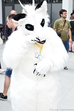 Fursuit   Fullsuit Kostüm Handarbeit