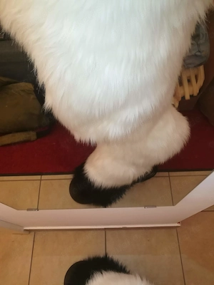 Fursuit   Fullsuit Kostüm Handarbeit Bild 5
