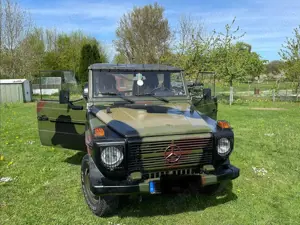 Mercedes-Benz G 250 461 GD 250 H Kennzeichen
