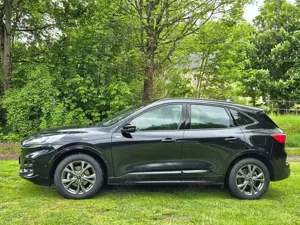 Ford Kuga ST-Line *HUD*AHK*RFK*Winter+Tech-PAKET*
