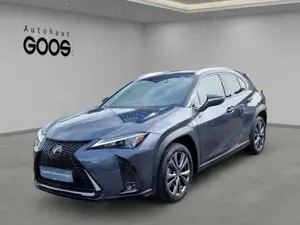 Lexus UX 250h Navi LED Dyn. Kurvenlicht ACC Apple CarPlay Androi