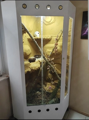 Terrarium für Schlangen