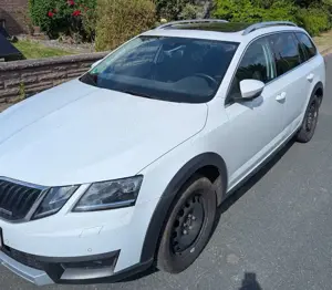 Skoda Octavia Behindertengerechter  Combi 2.0 TDI 4x4 DSG Scout