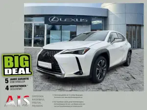 Lexus UX 250h Style Edition CloudNavi*ACC*KAM*SHZ*DAB