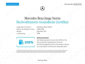Mercedes-Benz Citan e Kasten PRO  Hecktüren 180 Grad
