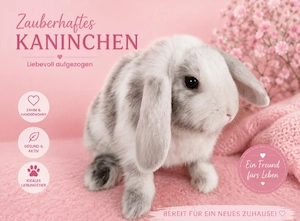 Tolle Mini Lop Kaninchen Hasen Widder Babys suchen liebes Zuhause.