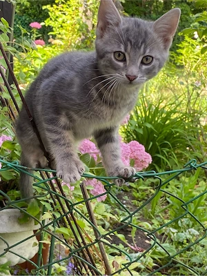 Frau Tatiana