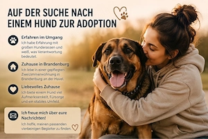 Auf der Suche nach einem Hund
