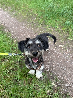 Hazel sucht ihr Traumzuhause  