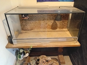 Terrarium 